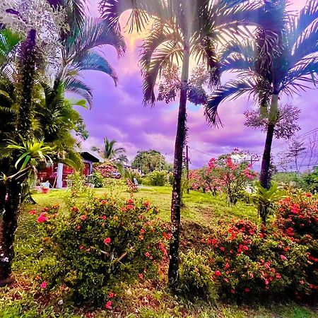 Hotel Tierra De Volcanes La Fortuna Ngoại thất bức ảnh