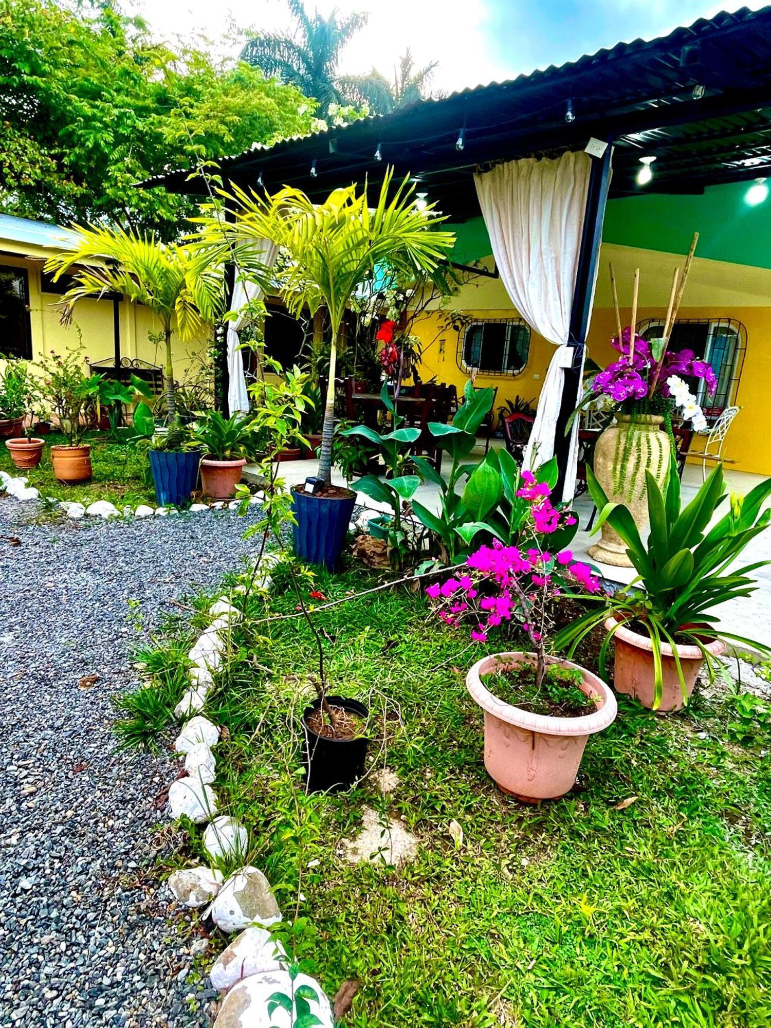 Hotel Tierra De Volcanes La Fortuna Ngoại thất bức ảnh