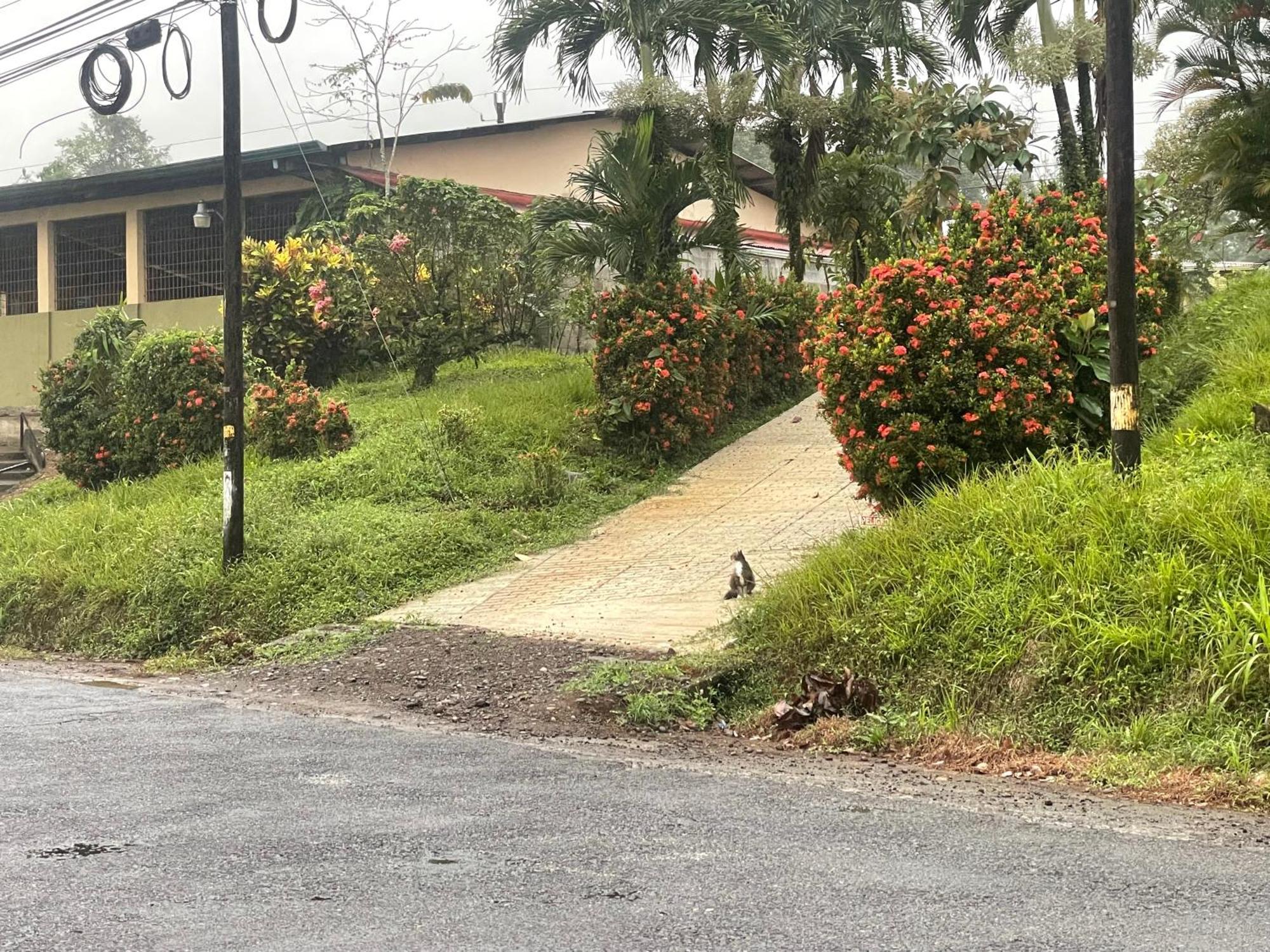 Hotel Tierra De Volcanes La Fortuna Ngoại thất bức ảnh
